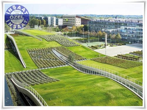 yesil cati fotograflari 20  ozel